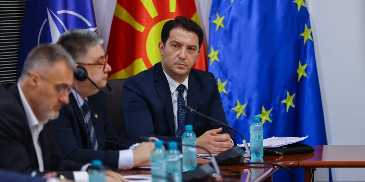 Çfarë parashikon ligji i Salit për përfaqësim të drejtë në Maqedoni?