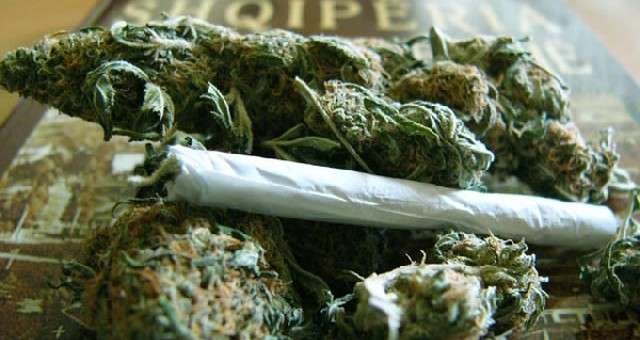 Kush akuzohet për kultivim hashashi nga Prokuroria e Prizrenit?