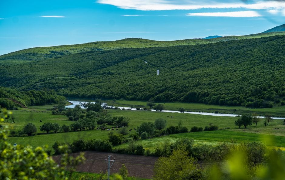 Fisi Berisha — shpina gjenealogjike e Pukës, Kosovës dhe familjes Jashari