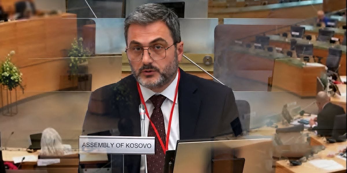 Çfarë i tha Ardian Gola përfaqësueses serbe në Asamblenë e NATO-s?