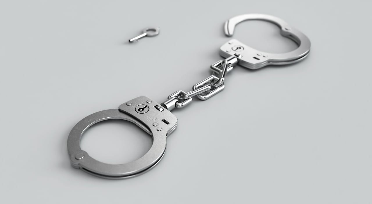 Çfarë droge gjeti policia tek 11 të ndaluarit në Shkup?